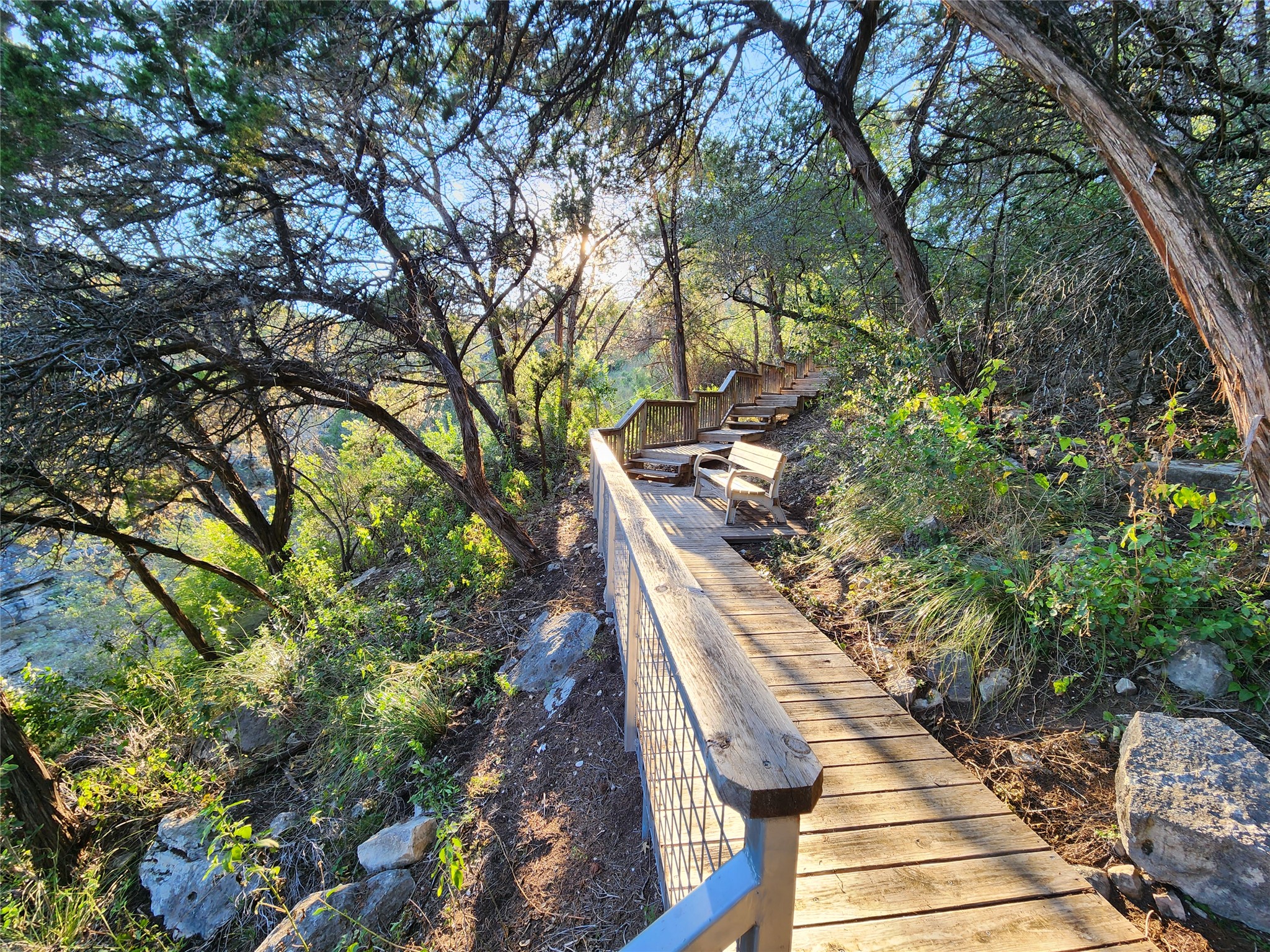 3807 Boat Dock Road Lago Vista, TX 78645 - Photo 34 of 37 A wooden boardwalk winds through a verdant landscape, bathed in natural light.