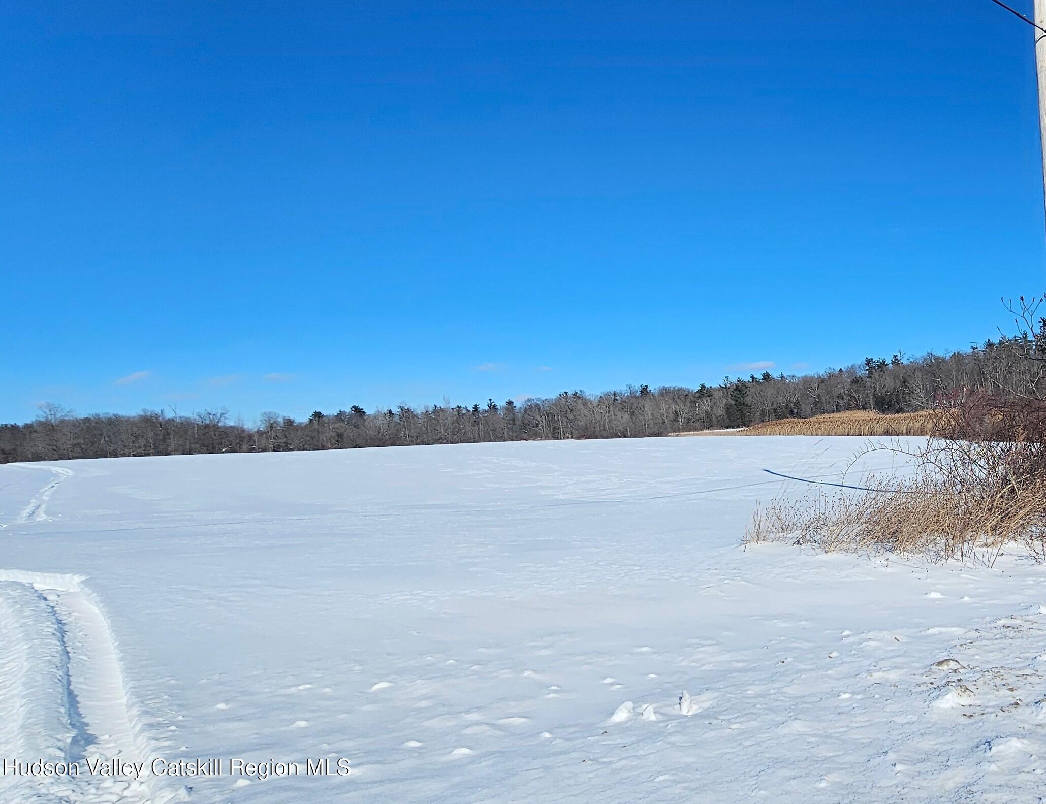 0 Ridge Road Schodack Landing, NY 12156 - Photo 3 of 13 1000028437