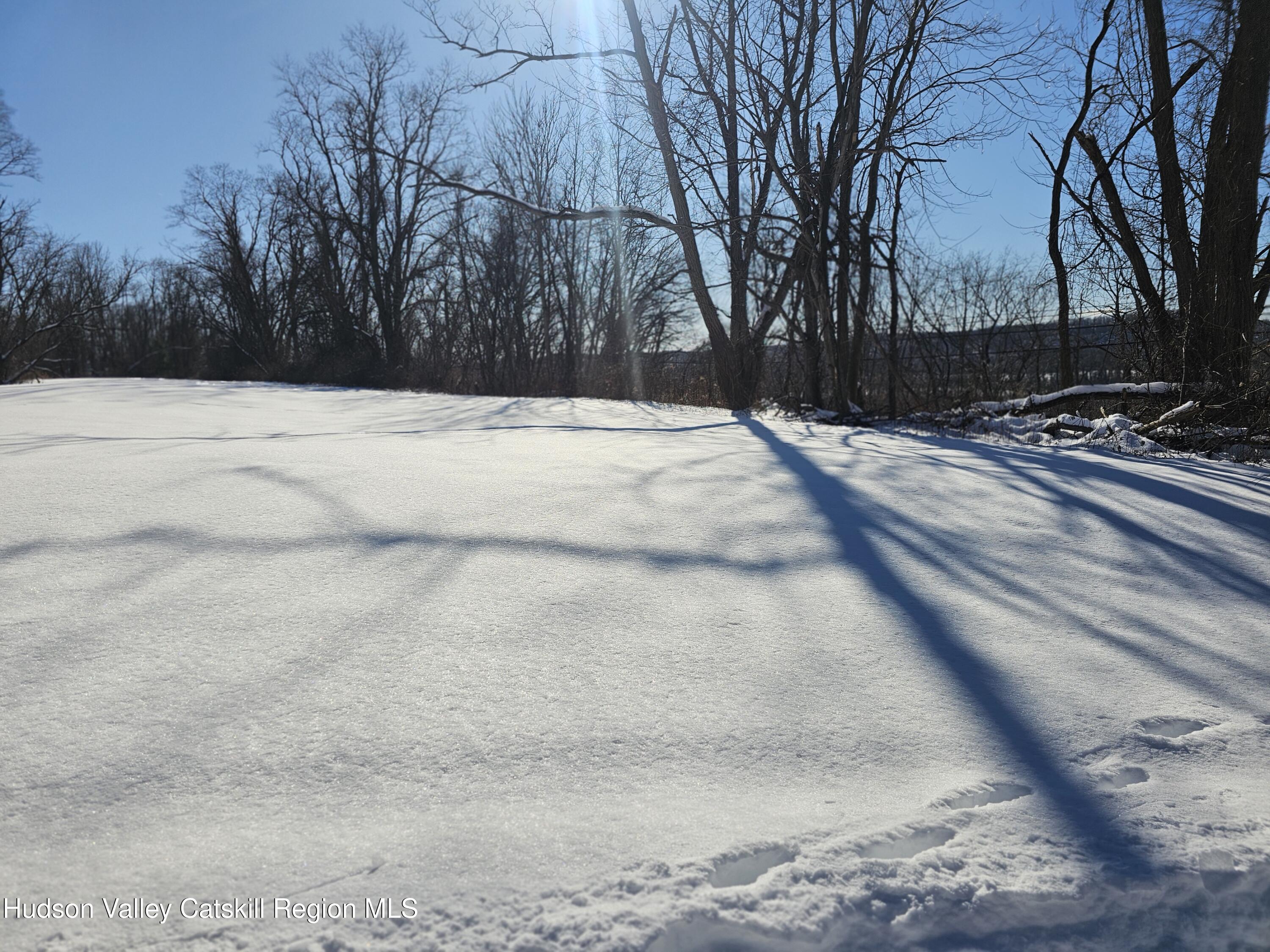 0 Ridge Road Schodack Landing, NY 12156 - Photo 6 of 13 20260130_134510