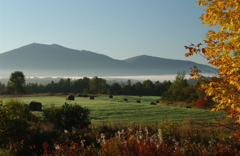 997 Sugarhouse Road Burke, VT 05871 - Photo 2 of 32 Gallery Image 2