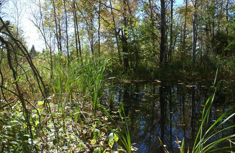 997 Sugarhouse Road Burke, VT 05871 - Photo 11 of 32 Gallery Image 11