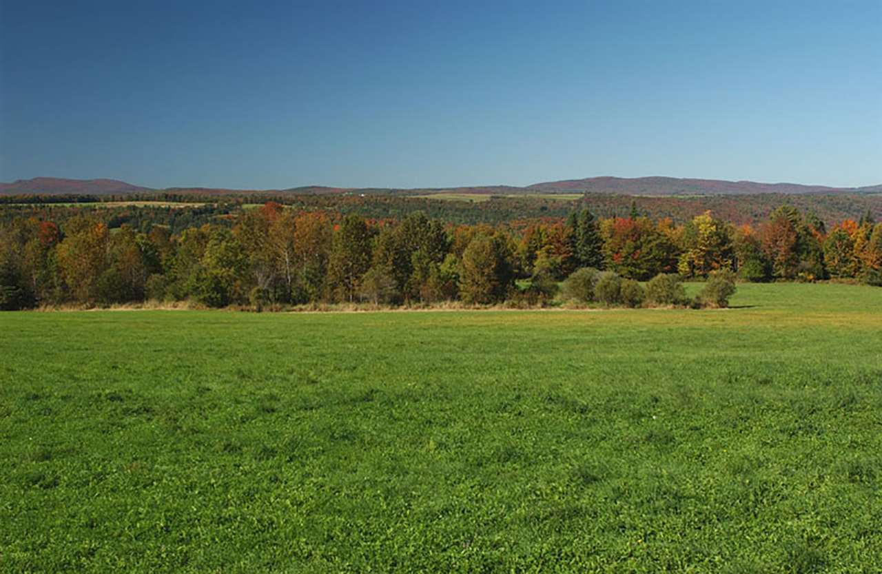 997 Sugarhouse Road Burke, VT 05871 - Photo 5 of 32 Gallery Image 5