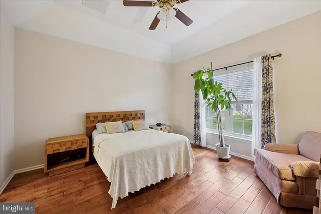 a bedroom with a bed couch and a potted plant