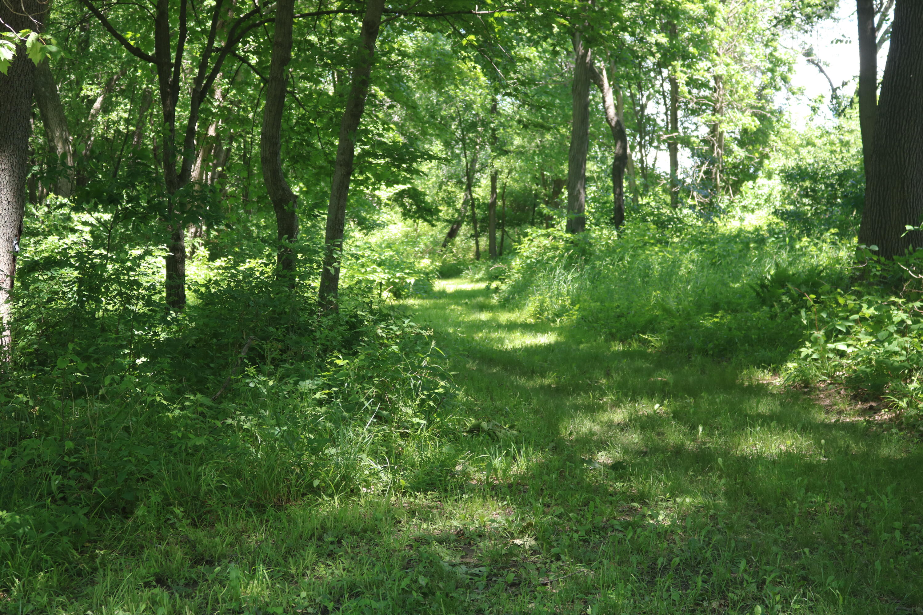 5 5 Mile Road Watertown, WI 53098 - Photo 6 of 17 IMG_1576