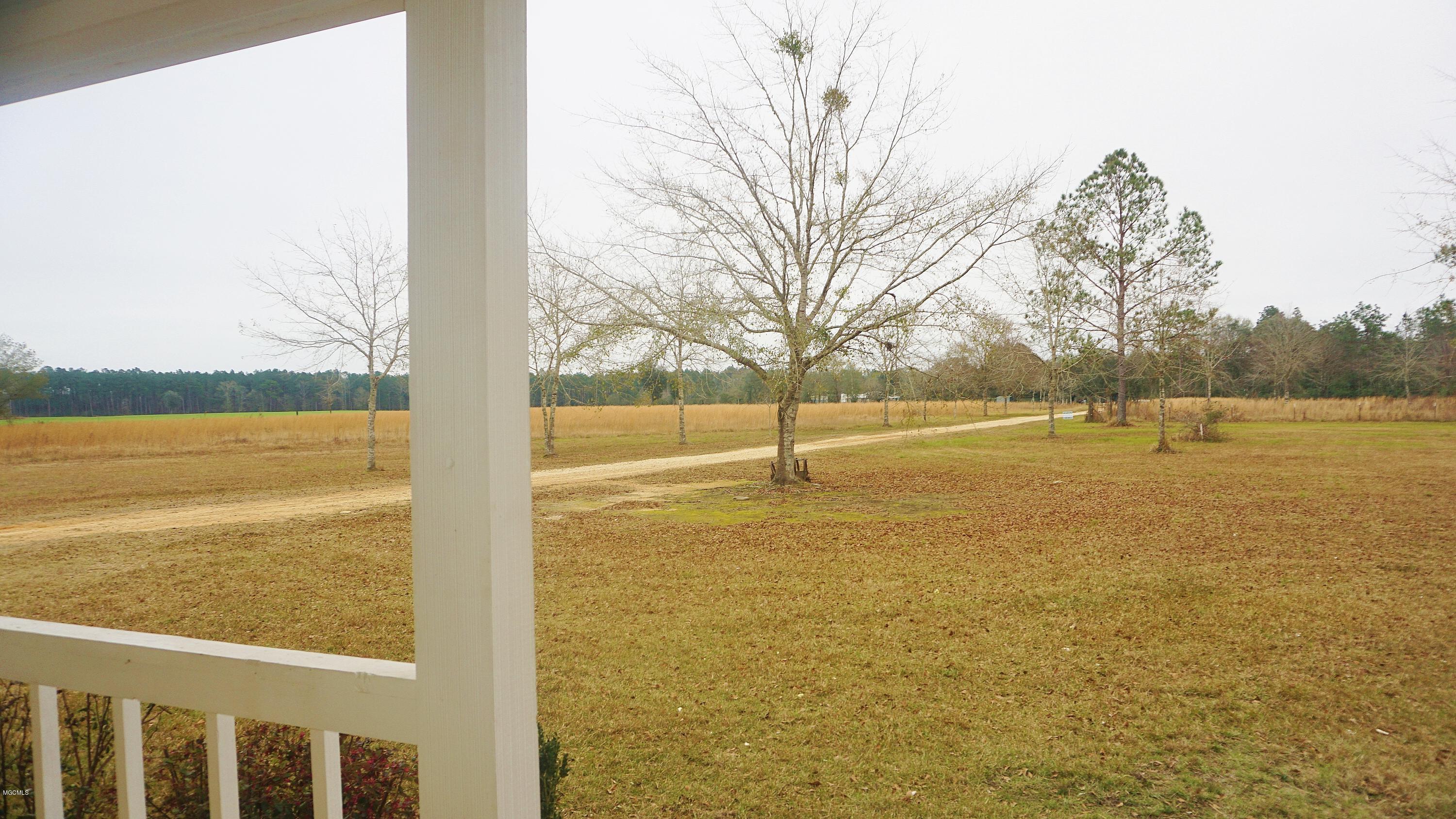 24121 Red Bluff Road Lucedale, MS 39452 - Photo 33 of 59 DSC07050