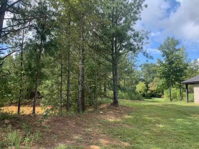 179 Ragan Road Pelahatchie, MS 39145 - Photo 4 of 34 Photo 4