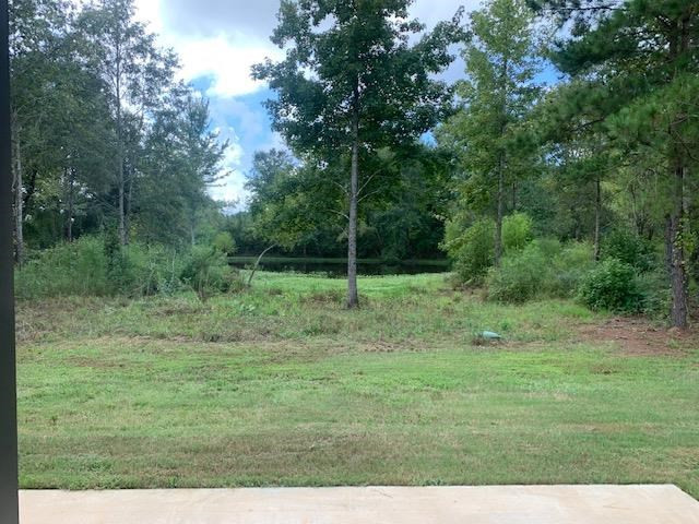 179 Ragan Road Pelahatchie, MS 39145 - Photo 5 of 34 Photo 5
