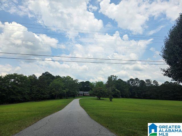 1660 Country Club Road Roanoke, AL 36274 - Photo 48 of 48