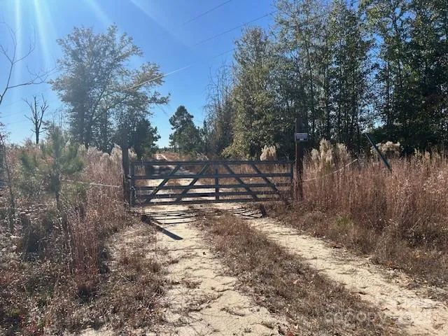 a view of a forest with trees