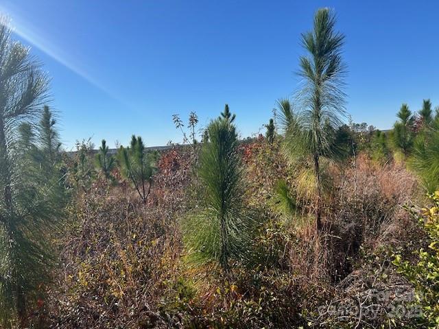 3583 State Rd S-28-87 Bethune, SC 29009 - Photo 11 of 18 a view of a city