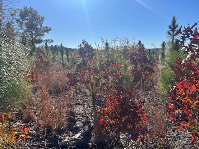 a view of a city with lush green forest