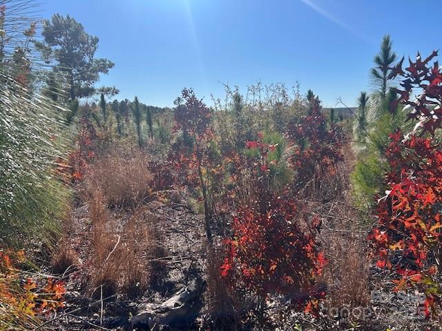 3583 State Rd S-28-87 Bethune, SC 29009 - Photo 15 of 18 a view of a city with lush green forest