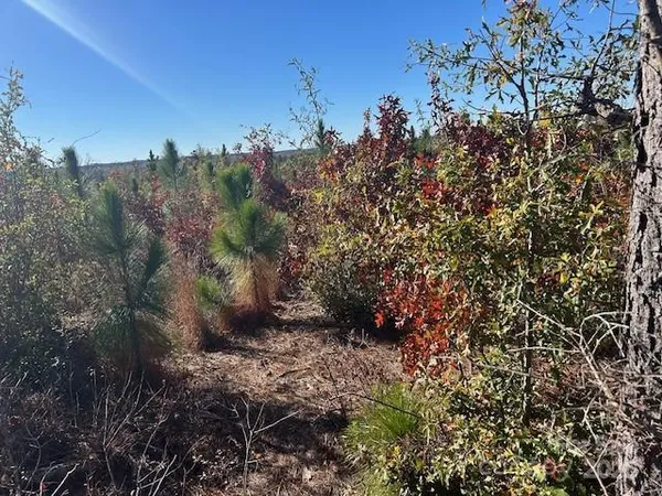 a view of a city with lush green forest
