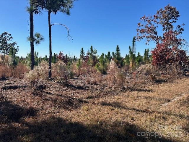 3583 State Rd S-28-87 Bethune, SC 29009 - Photo 3 of 18 a view of a backyard of the house