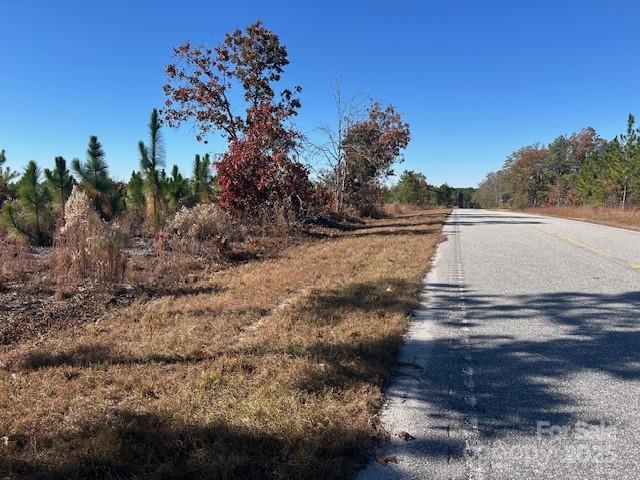 3583 State Rd S-28-87 Bethune, SC 29009 - Photo 4 of 18 a view of outdoor space with swimming pool and trees in the background