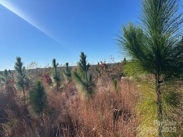 a view of a lake with a yard