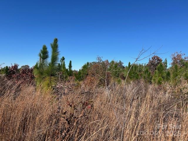 3583 State Rd S-28-87 Bethune, SC 29009 - Photo 7 of 18 a view of a city with lush green forest