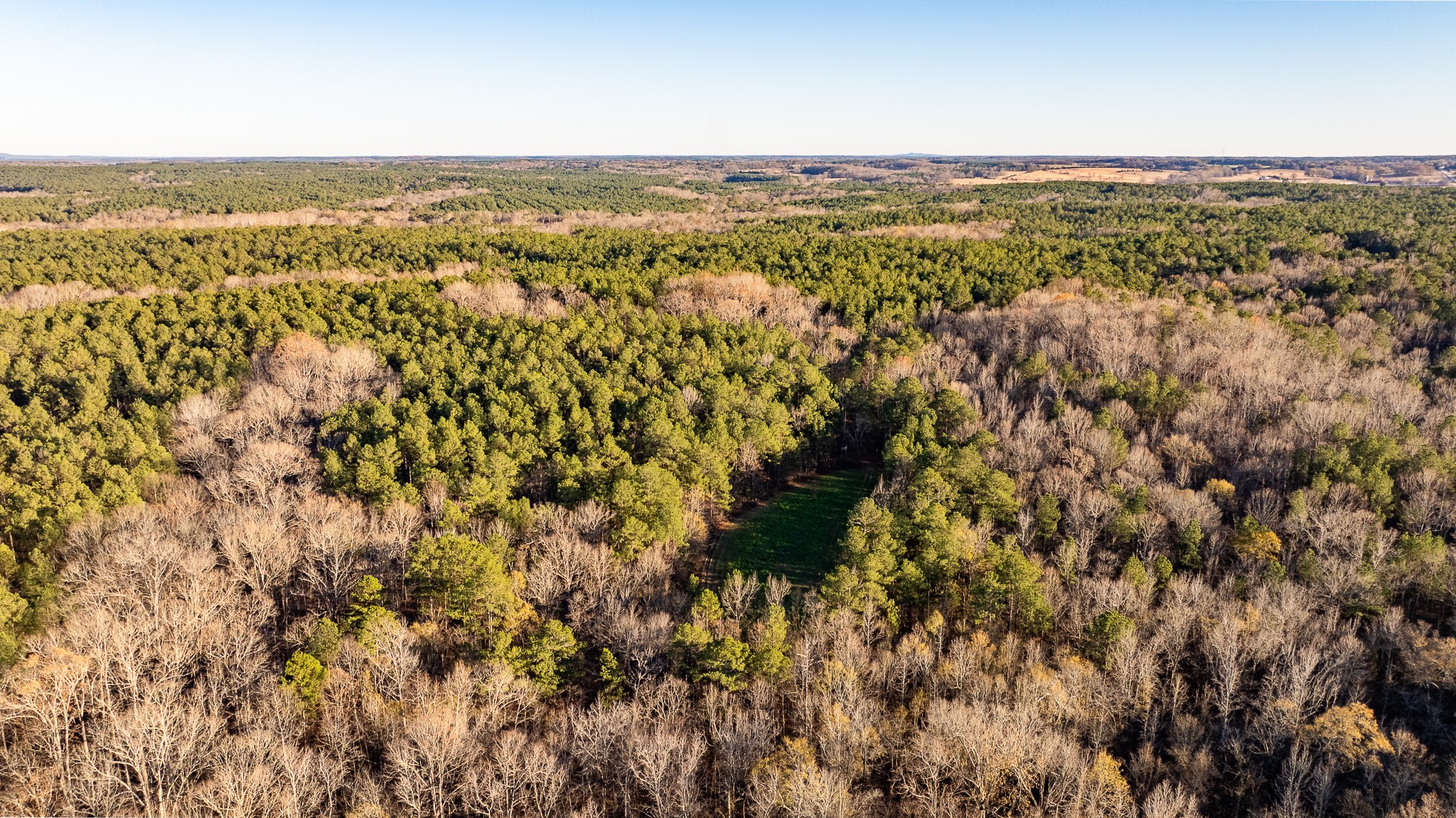 8548 Elberton Road Tignall, GA 30668 - Photo 16 of 50 a view of city and ocean