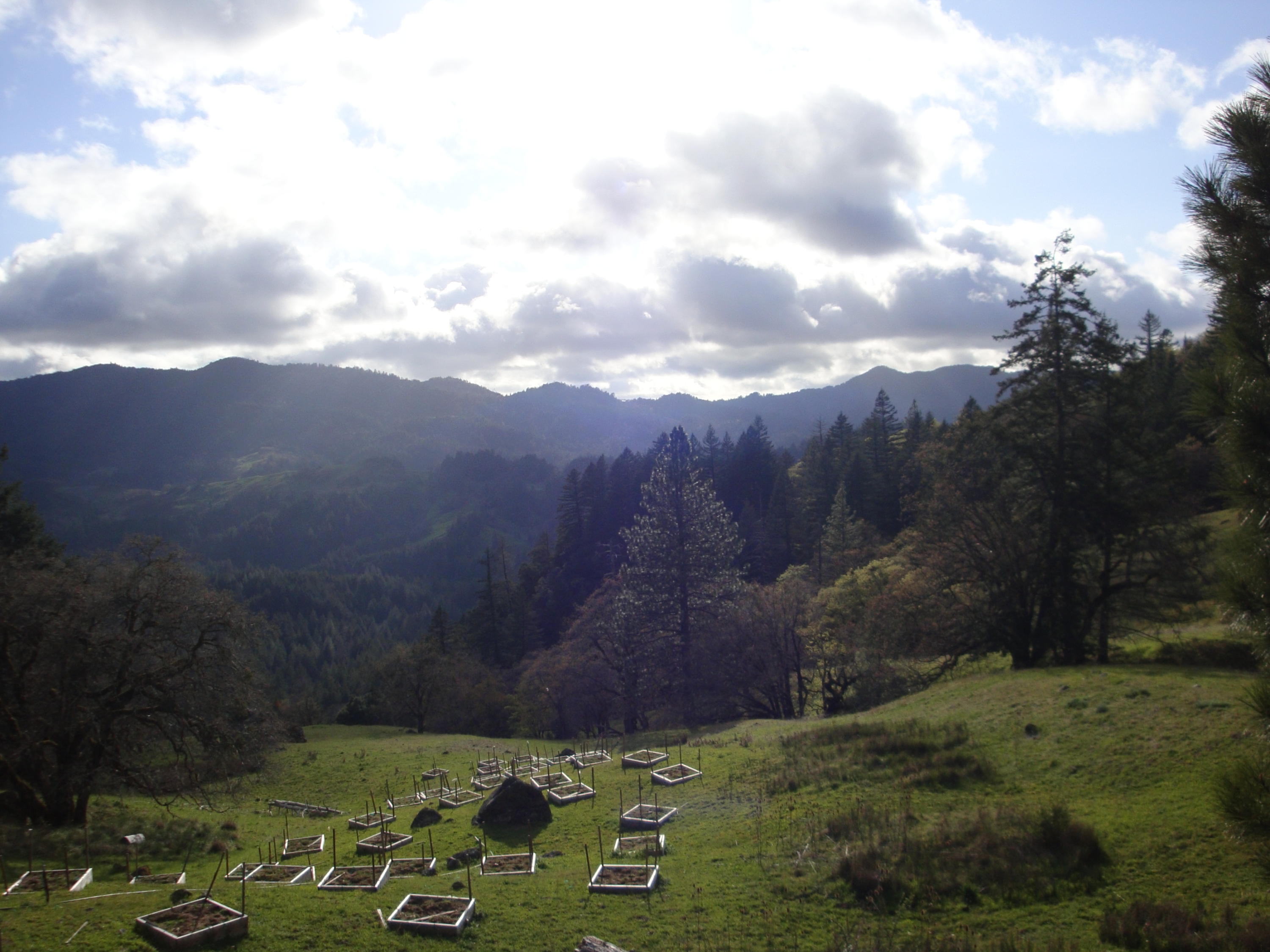 0 Buck Mountain Road Bridgeville, CA 95526 - Photo 12 of 33