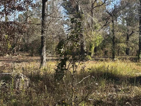 $50,000 | 112 Angus Drive, Ragley, LA 70657