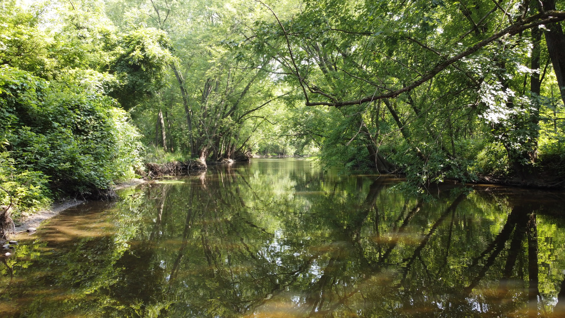 28234 Brickville Road Sycamore, IL 60178 - Photo 3 of 38