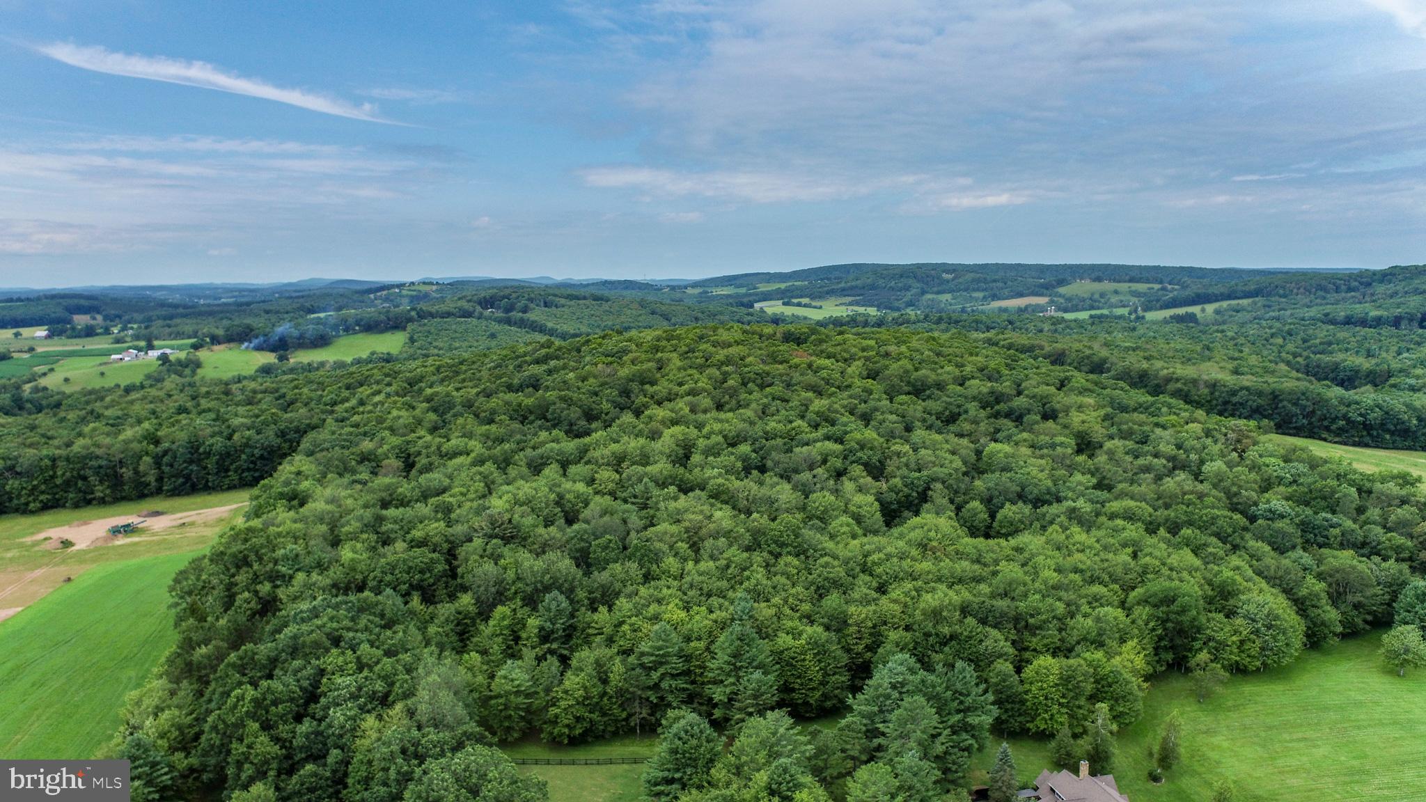 Boy Scout Road Oakland, MD 21550 - Photo 19 of 21 Gallery Image 19
