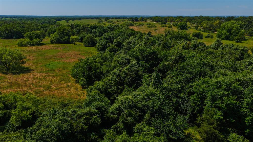 4360 County Road 4360 Decatur, TX 76234 - Photo 22 of 40