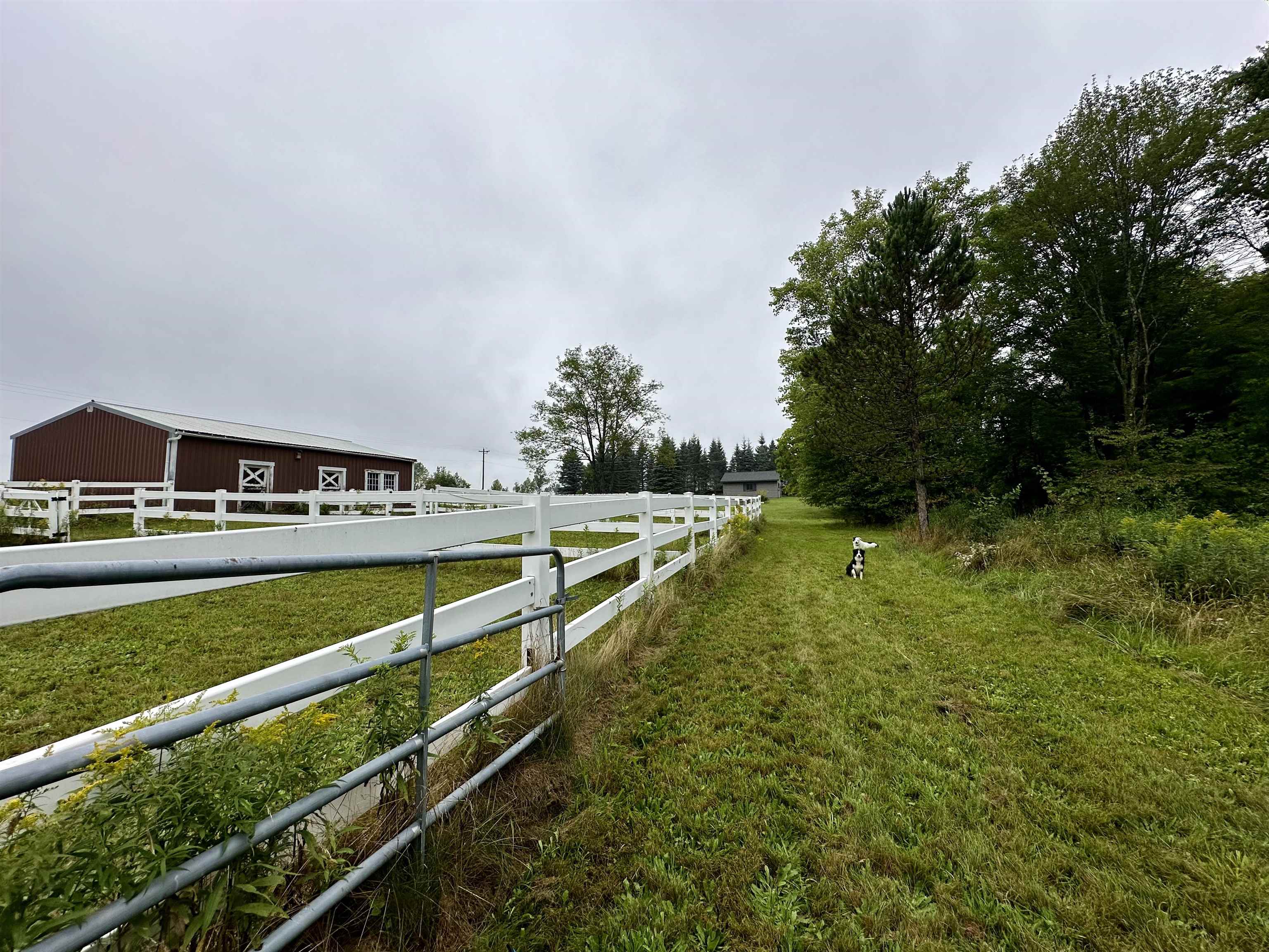 545 North County Road Skandia, MI 49885 - Photo 47 of 80