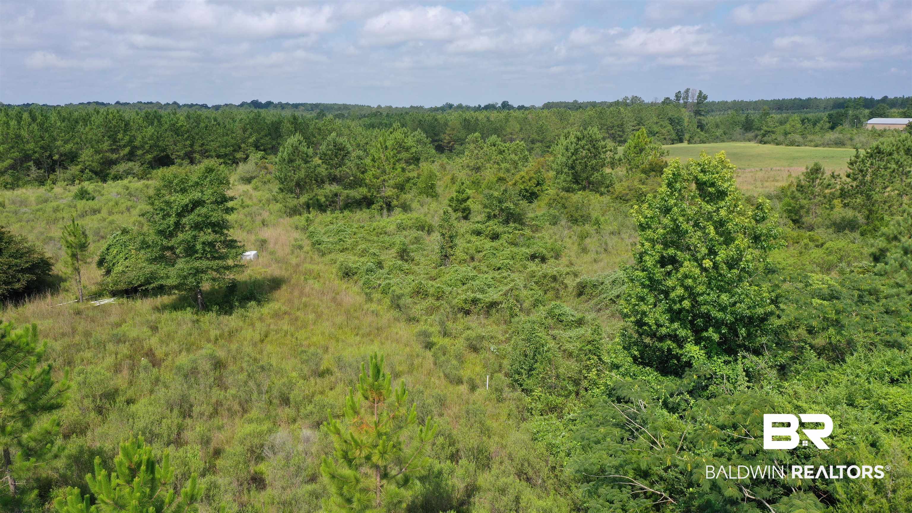 0 Highway 113 Flomaton, AL 36441 - Photo 18 of 24 View of landscape