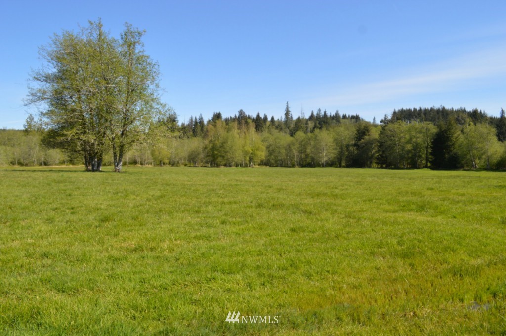 126 Newman Creek Road Elma, WA 98541 - Photo 25 of 25 Gallery Image 25
