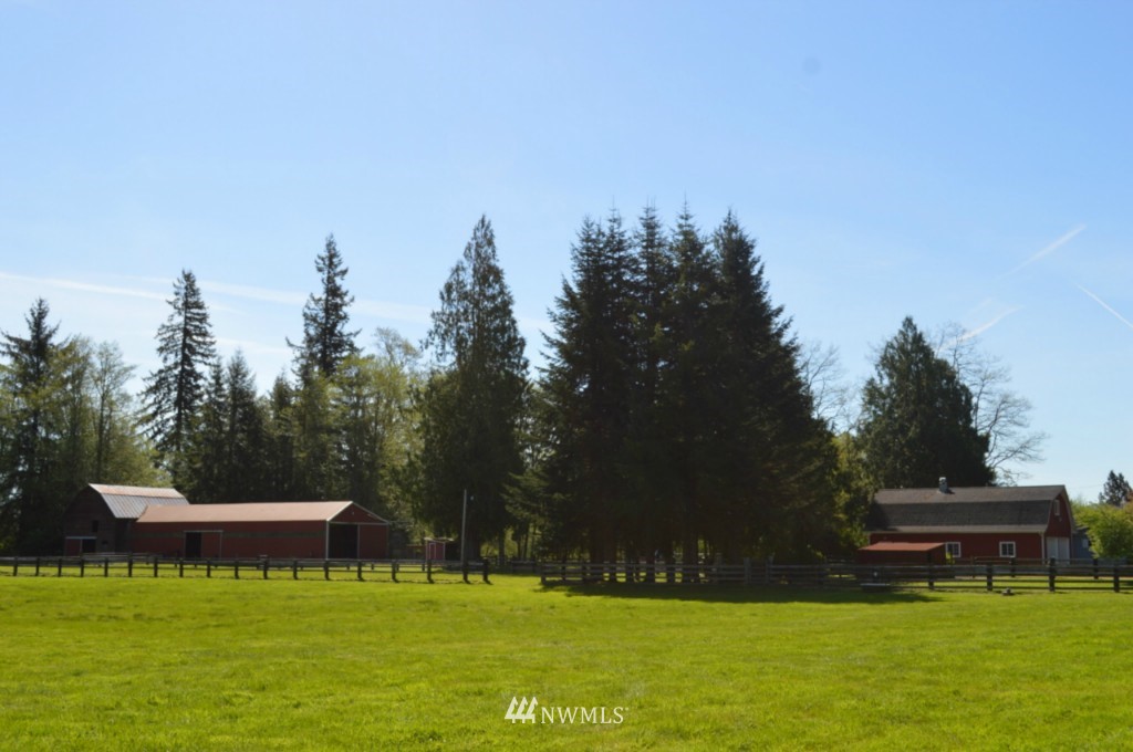 126 Newman Creek Road Elma, WA 98541 - Photo 4 of 25 Gallery Image 4