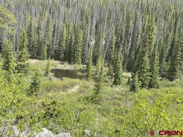 766 Rd Pitkin Co 81241 Road Ohio City, CO 81237 - Photo 9 of 18