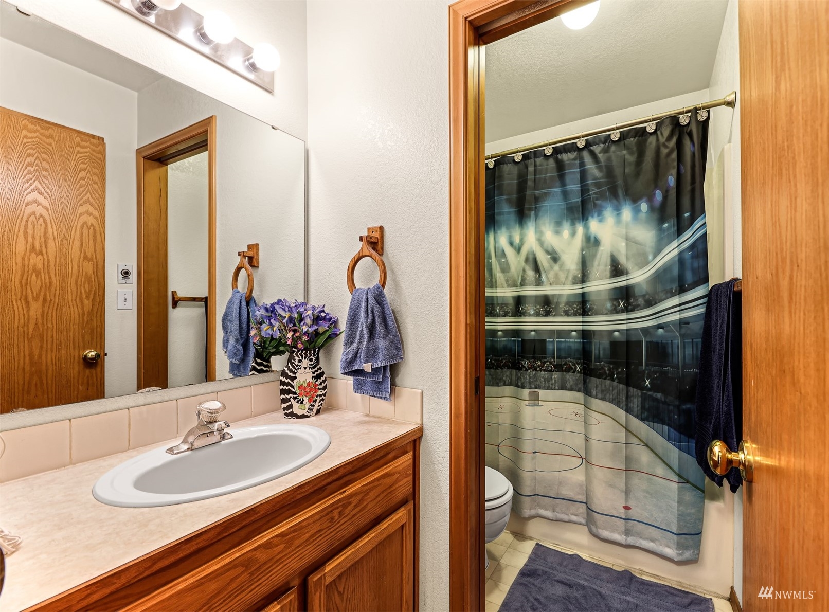 1341 Roma Road Bellingham, WA 98226 - Photo 35 of 40 a bathroom with a sink and a mirror