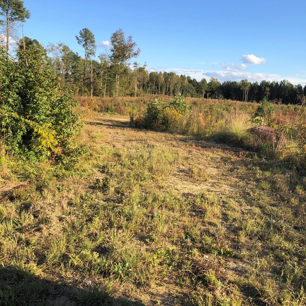 0 Windmill Road, Unit LOT1 Warfield, VA 23889 - Photo 3 of 5 Gallery Image 3