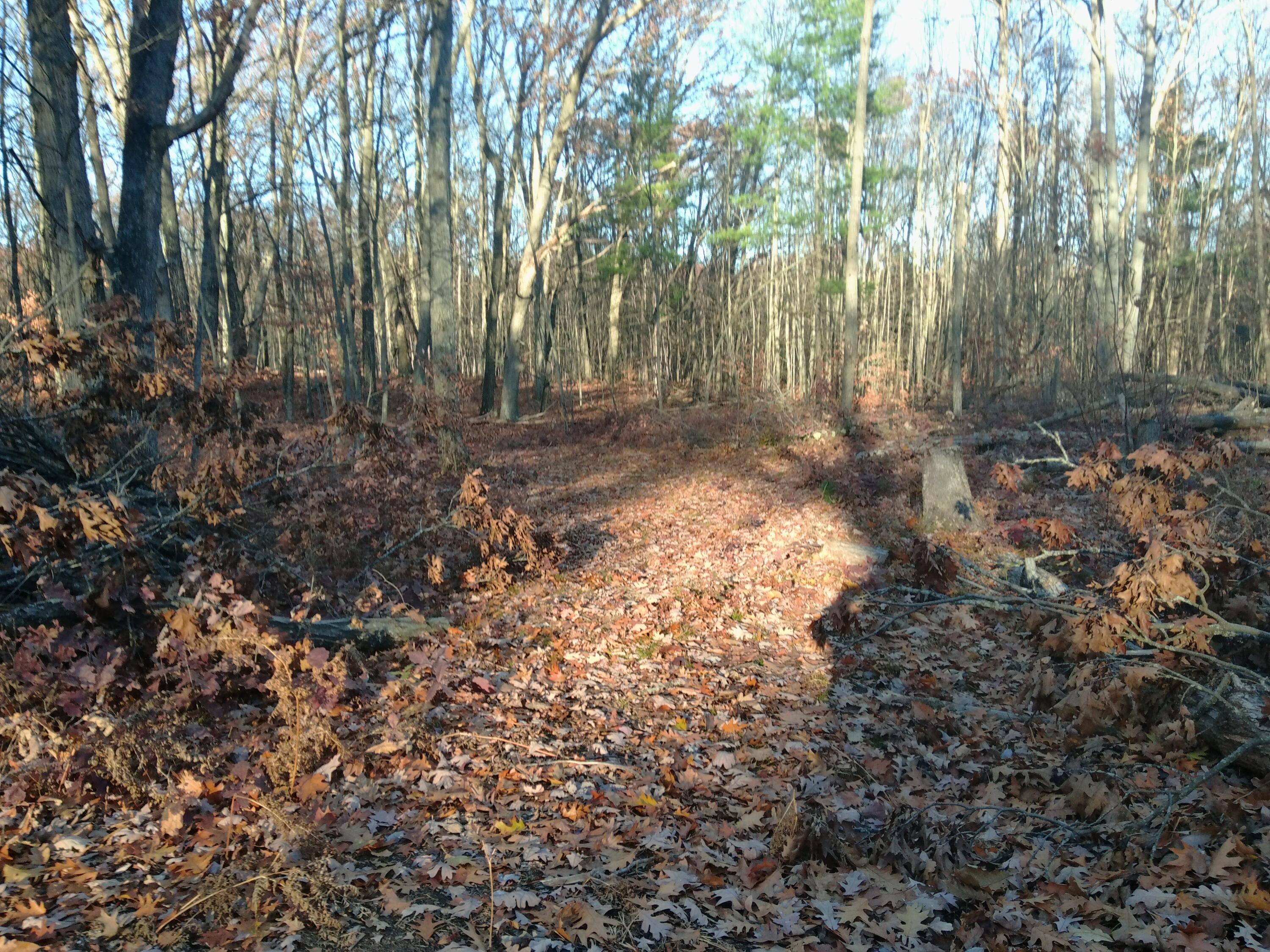 9579 East Timberline Trail Reed City, MI 49677 - Photo 13 of 19 100_0012