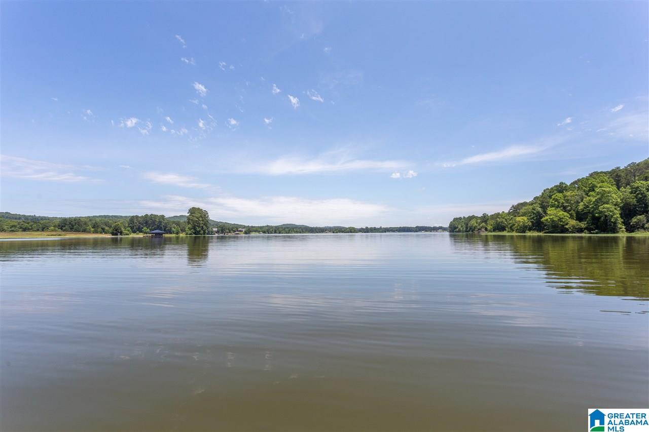 10350 Greensport Road Ashville, AL 35953 - Photo 45 of 50