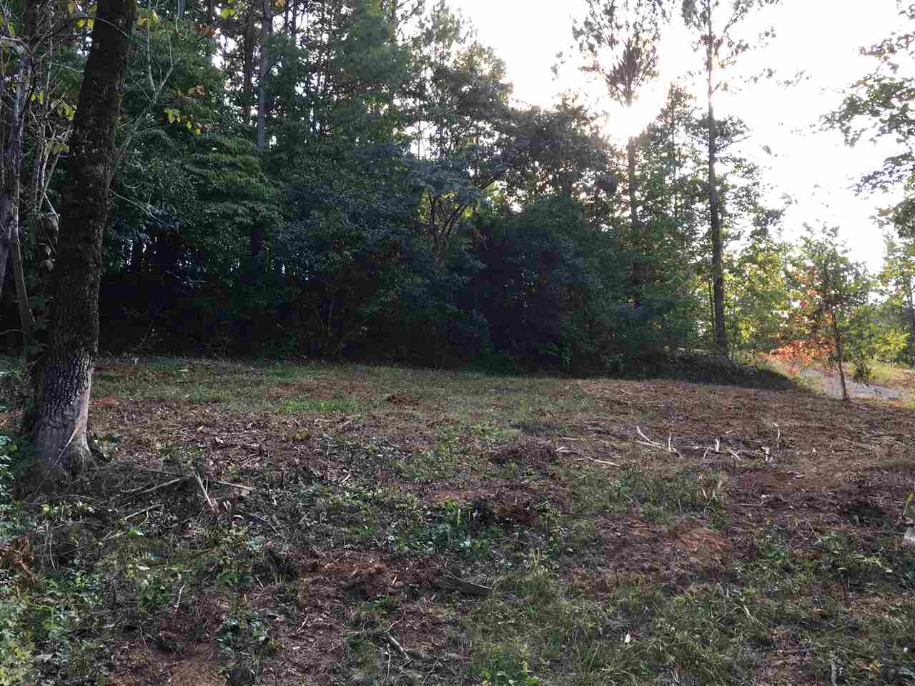 0 Line Street Union, SC 29379 - Photo 1 of 3