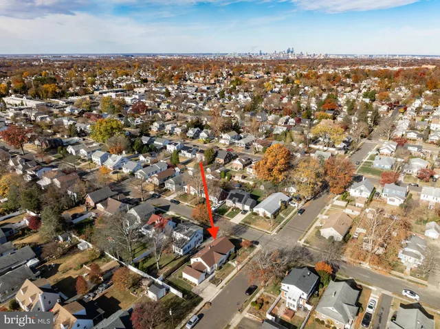 a view of backyard with potted plants and a large tree