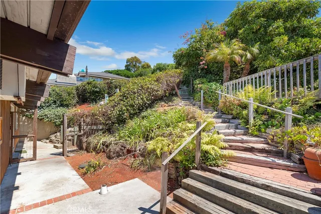 a roof deck with palm trees
