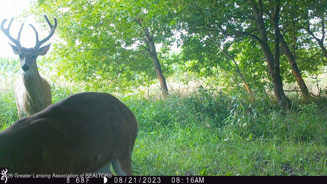 2426 East Colony Road St. Johns, MI 48879 - Photo 33 of 45 Trail Cameras