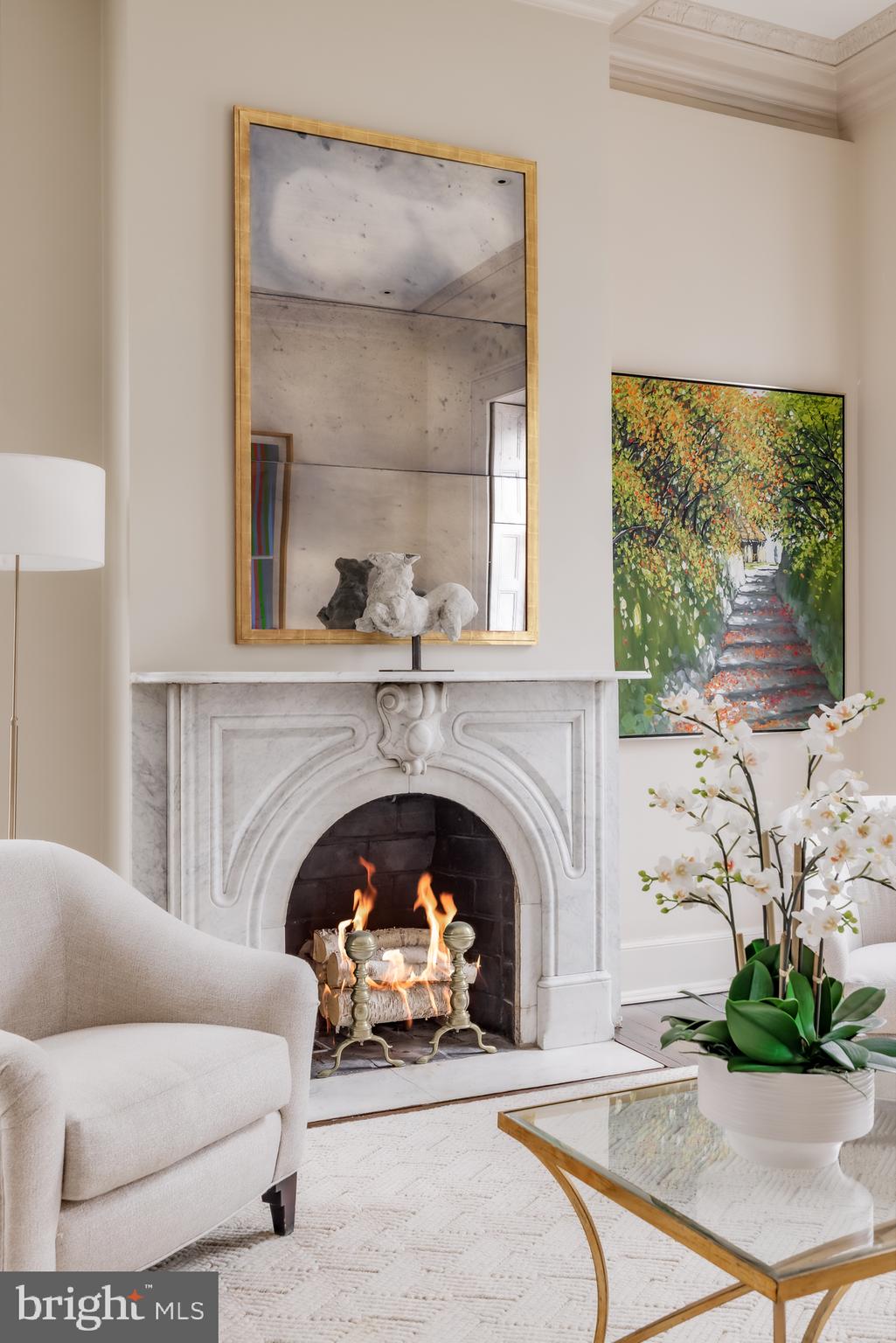 3117 O Street Northwest Washington, DC 20007 - Photo 11 of 50 a living room with furniture and a fireplace