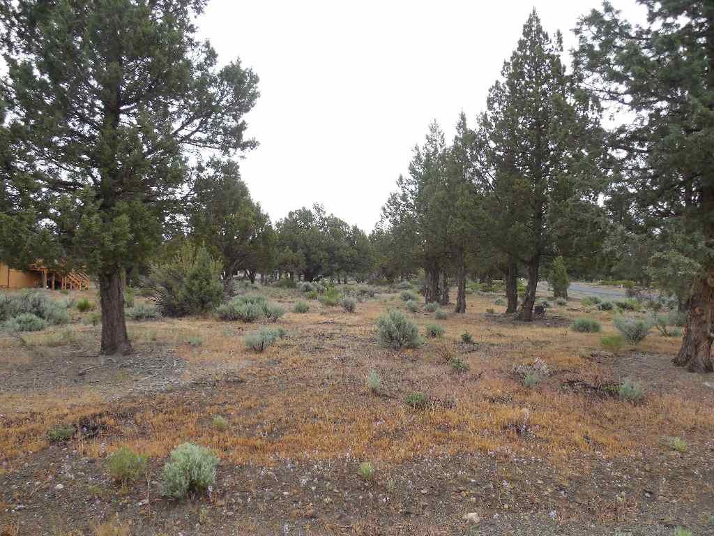 8-2 Unt Road Weed, CA 96094 - Photo 3 of 17 Gallery Image 3