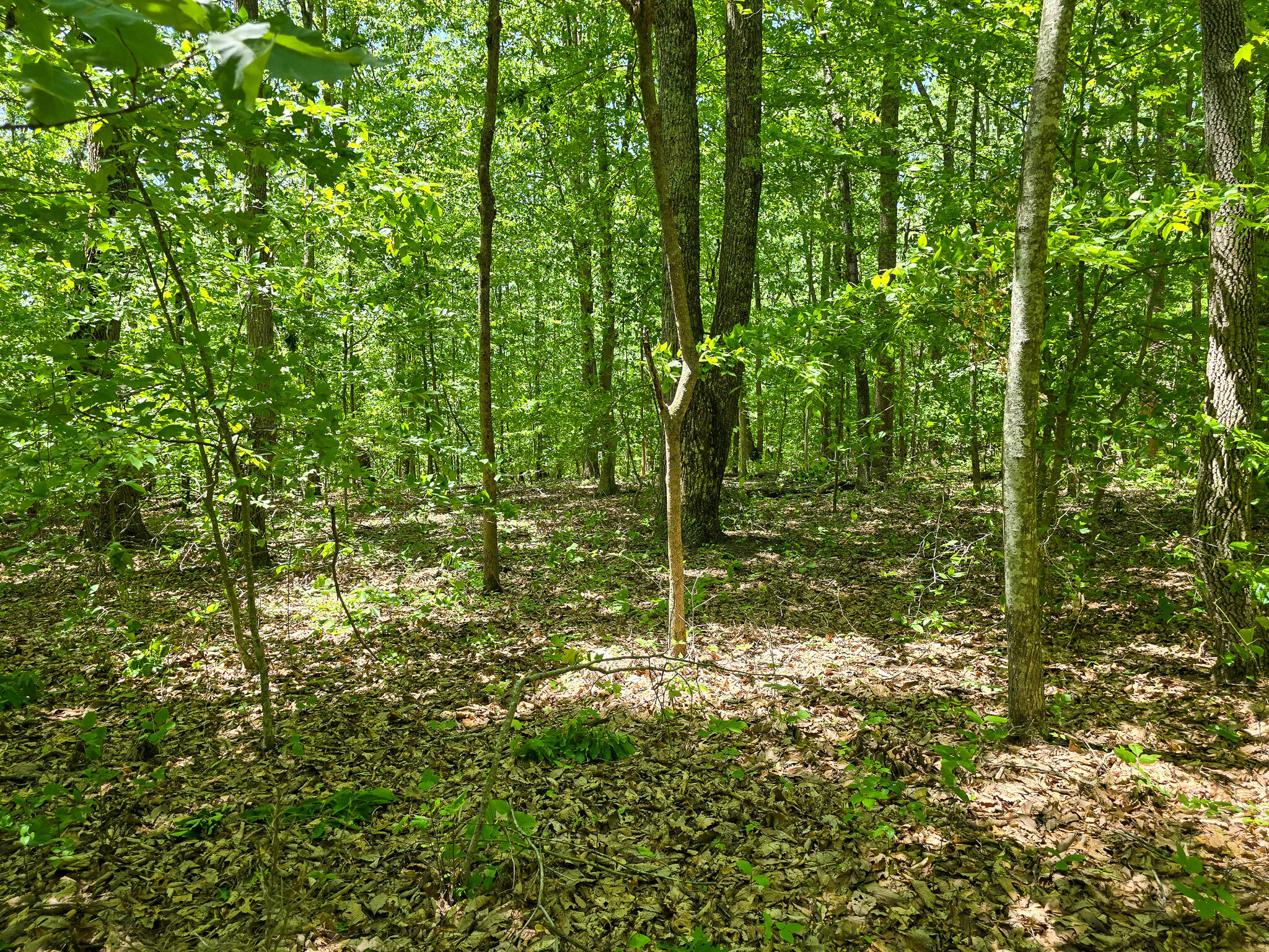 9999 Walter Huff Road Liberty, KY 42539 - Photo 13 of 42 20250517_135310