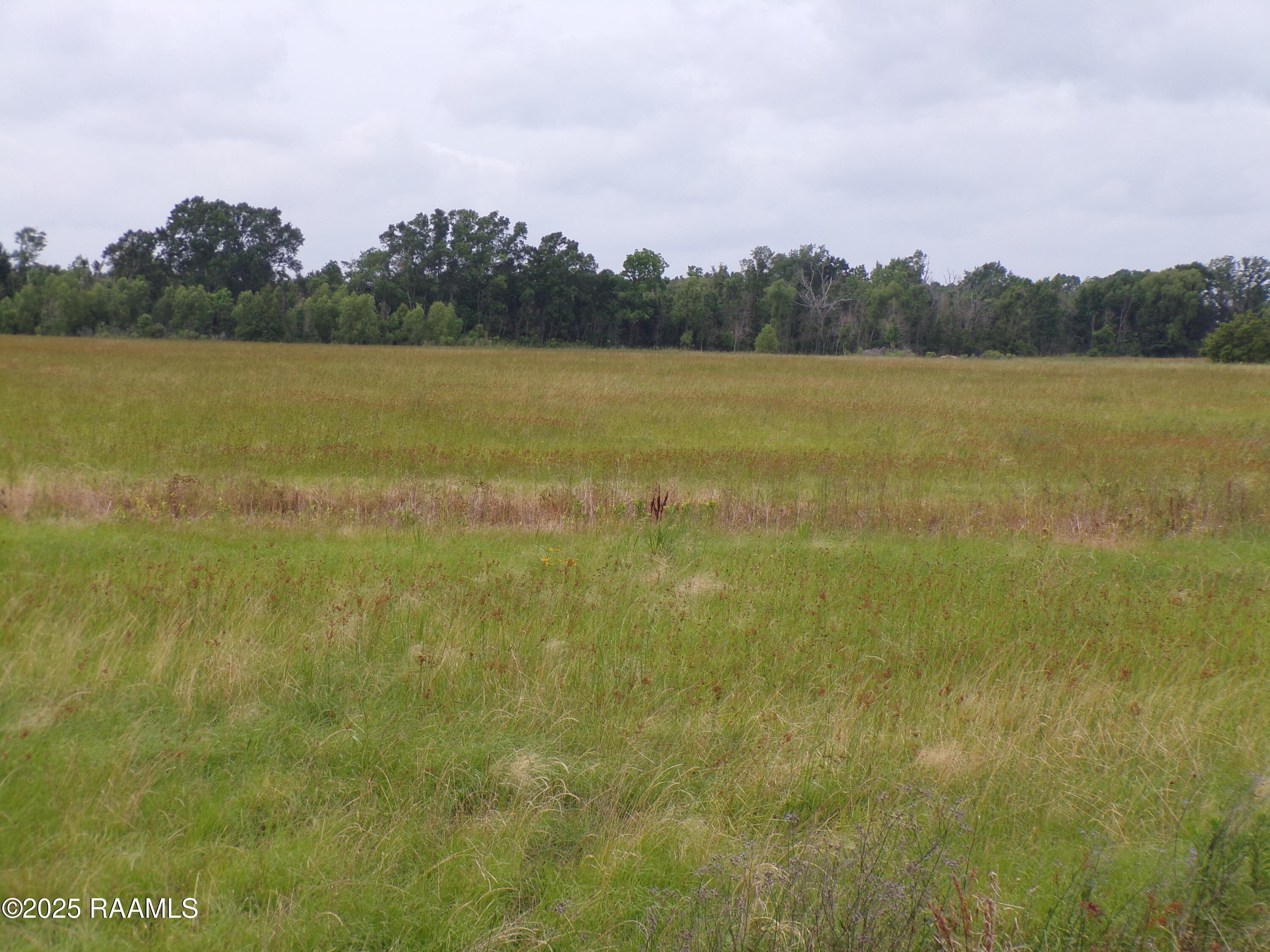 3 Joli Road Carencro, LA 70520 - Photo 6 of 8 100_2336