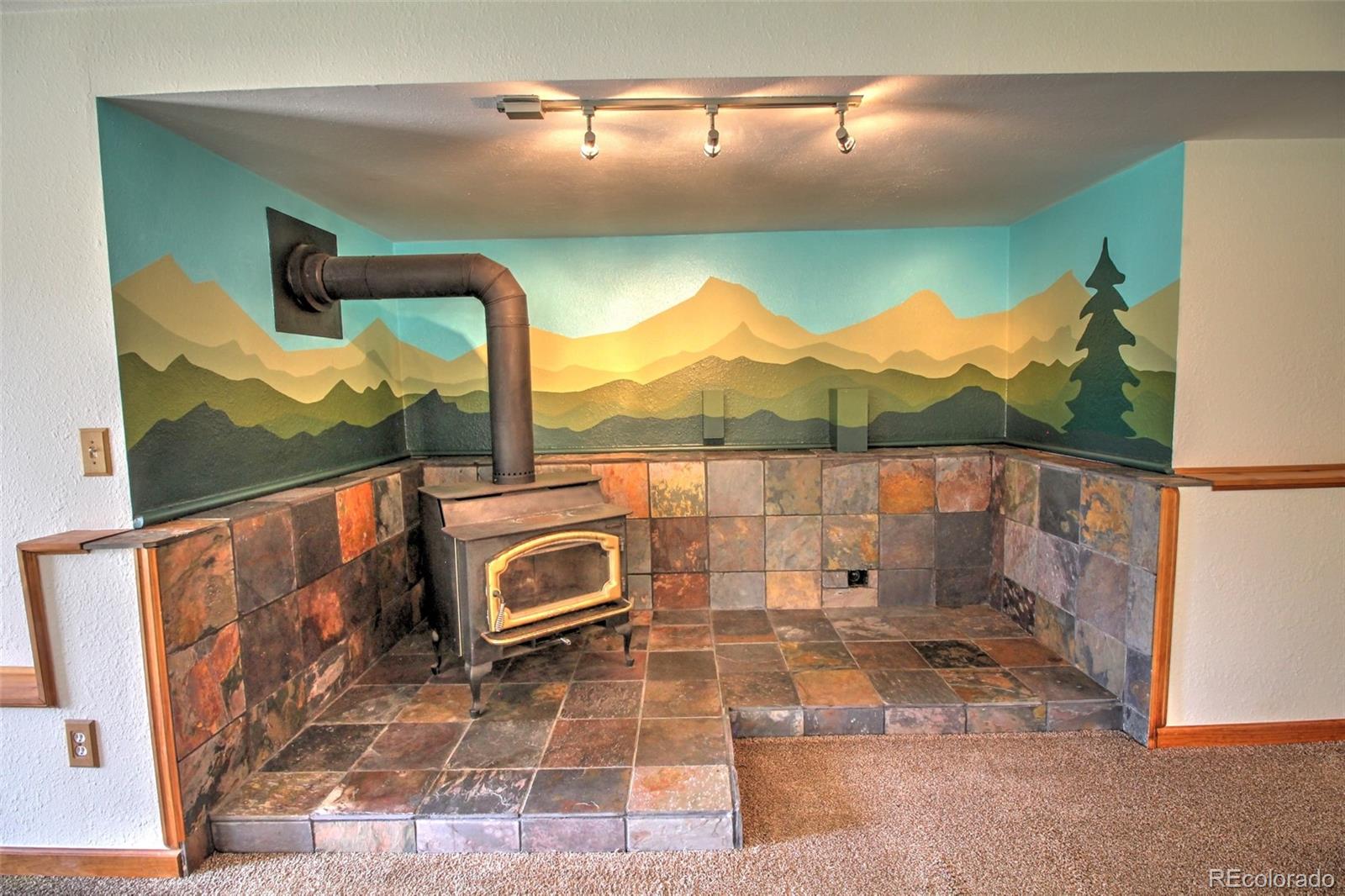 850 Hangmans Road Bailey, CO 80421 - Photo 25 of 40