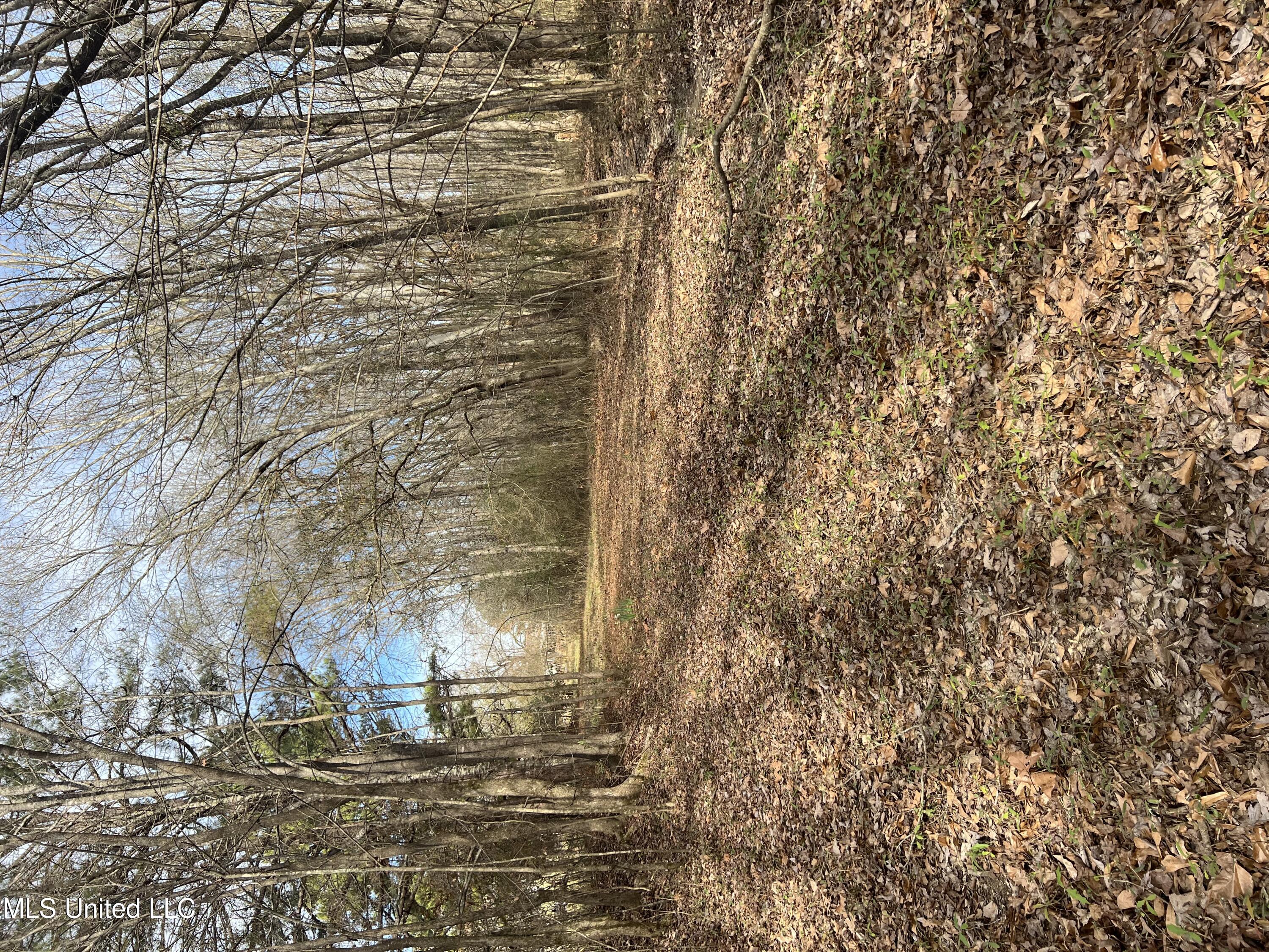 2140 Ratliff Road Raymond, MS 39154 - Photo 1 of 1 2140 Ratliff Road