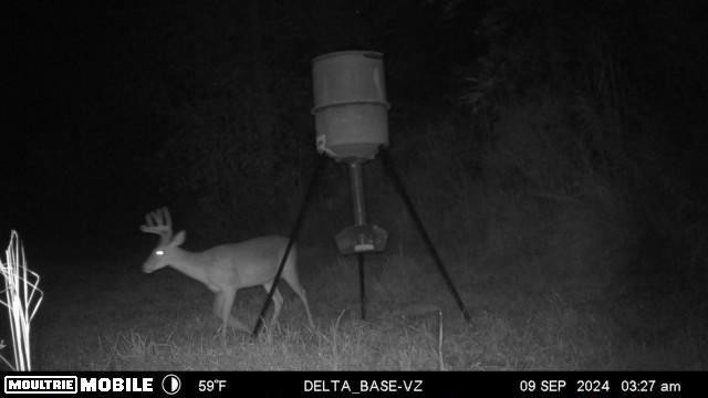 5146 New Hope Road Georgetown, MS 39078 - Photo 93 of 100 Photo 93