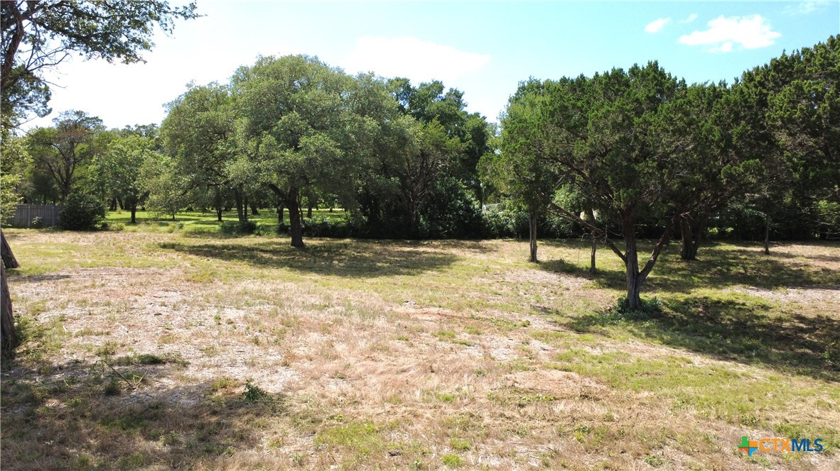 1-5 Smoke Signal Road Belton, TX 76513 - Photo 2 of 6 a view of outdoor space with trees