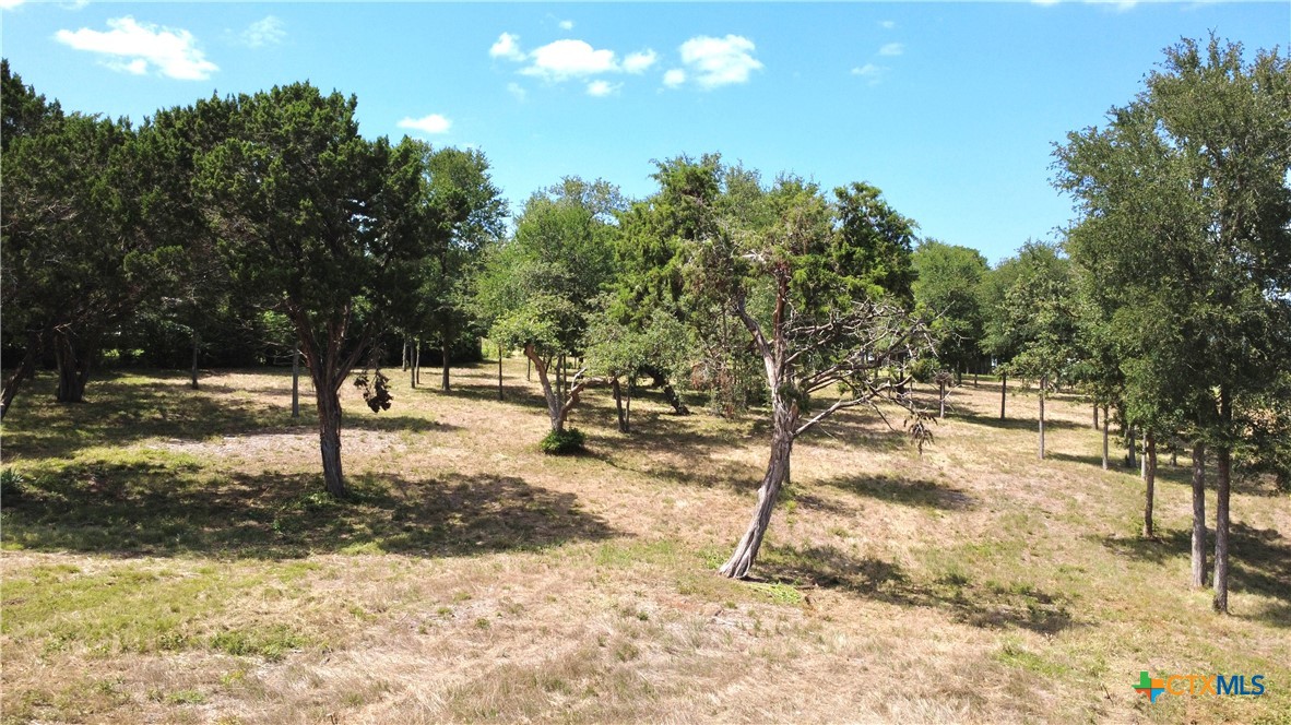 1-5 Smoke Signal Road Belton, TX 76513 - Photo 3 of 6 a view of a yard with trees