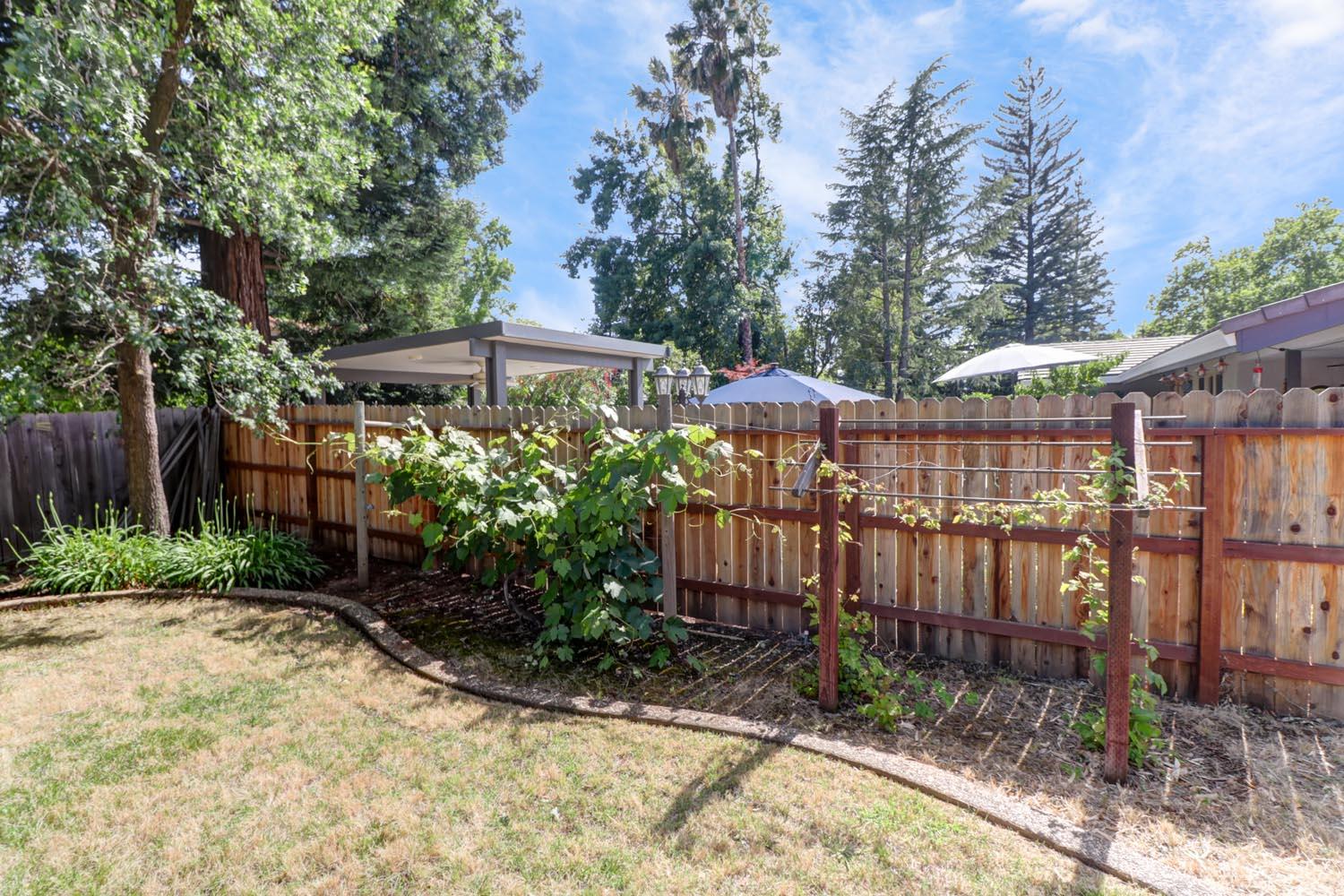 120 River Ridge Way Folsom, CA 95630 - Photo 59 of 70